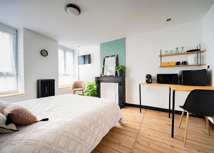 Elegante Chambre Avec Salle De Douche Privative