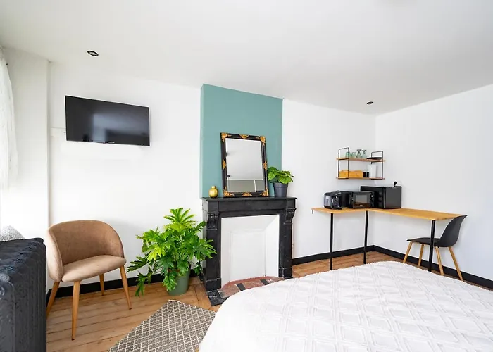 Elegante Chambre Avec Salle De Douche Privative